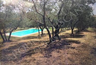 Riferimento Il Pino - Villa in Vendita a Cetona