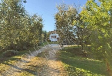 Riferimento Larice - Villa Singola in Vendita a Malmantile